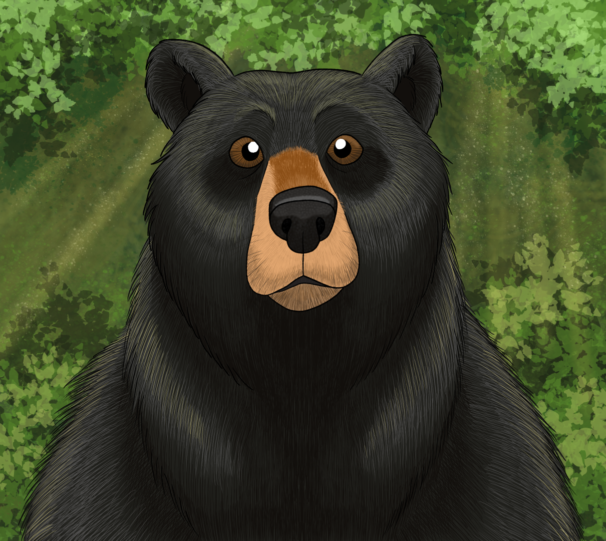 Black Bear