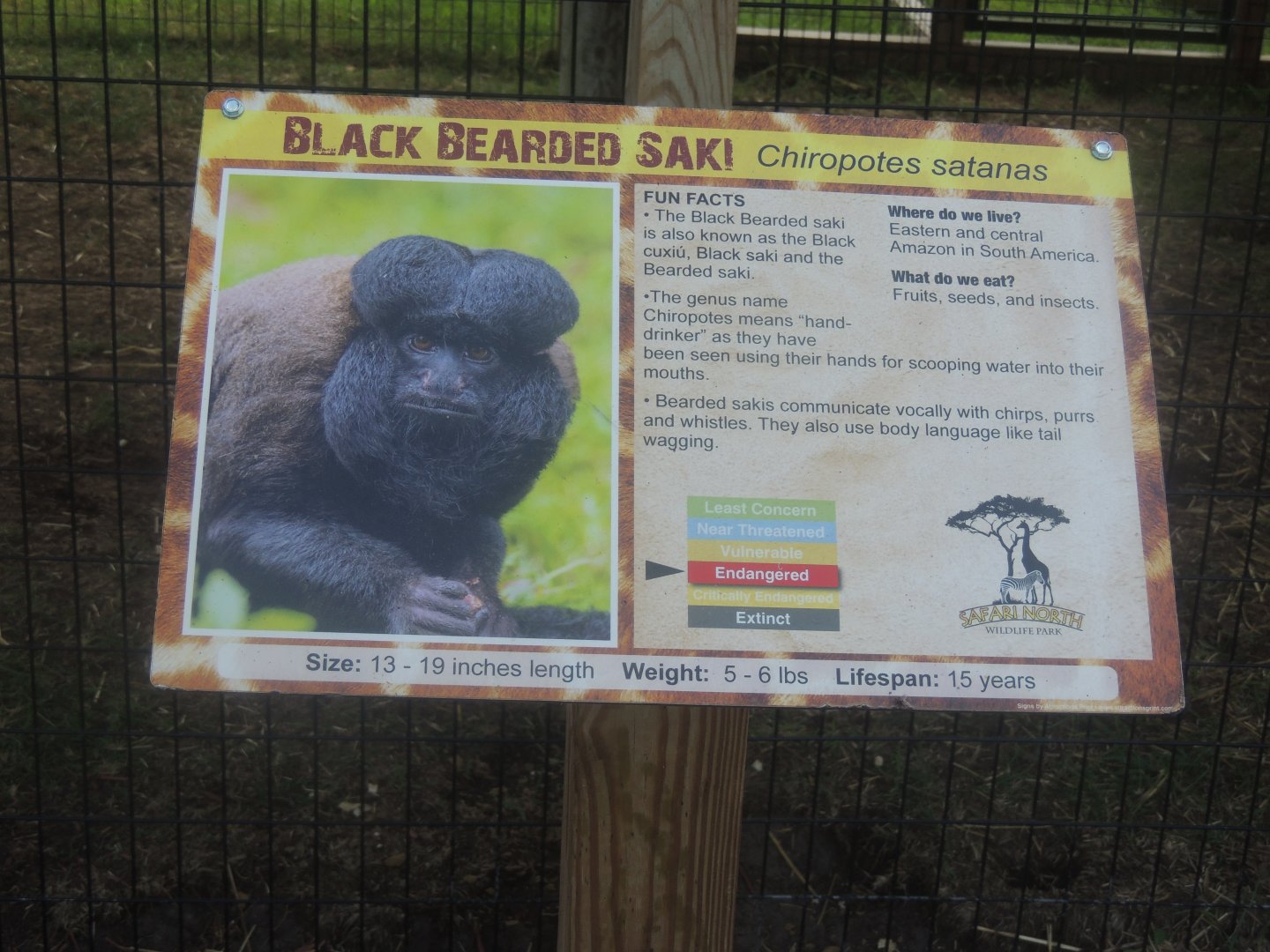 black bearded saki sign