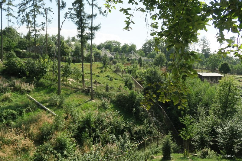 Black bears, leopards and Japanese macaque enclosure