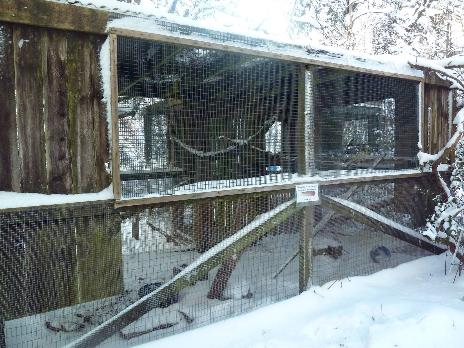 Black-Billed Magpie/Common Raven Exhibit