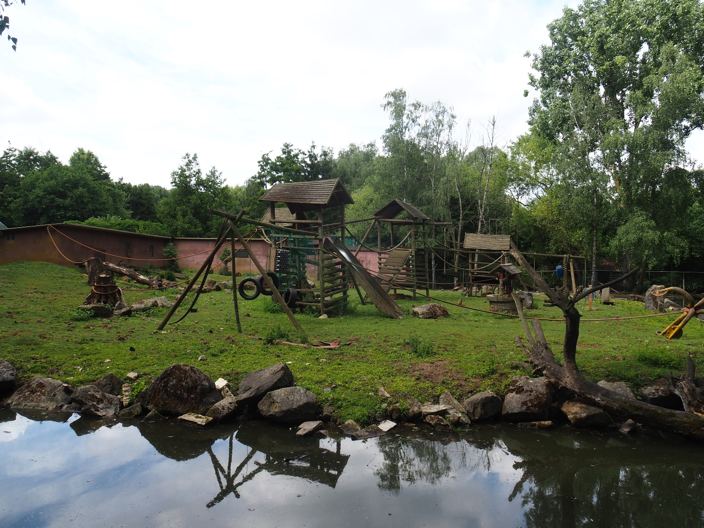 Black-capped capuchin and capybara island, 2020-06-20