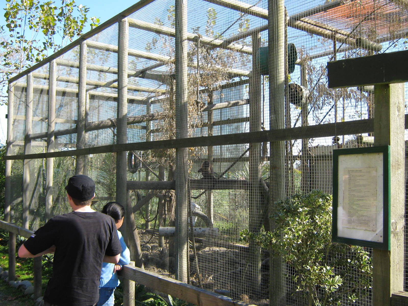 black-capped capuchin cage, Parrot Ranch