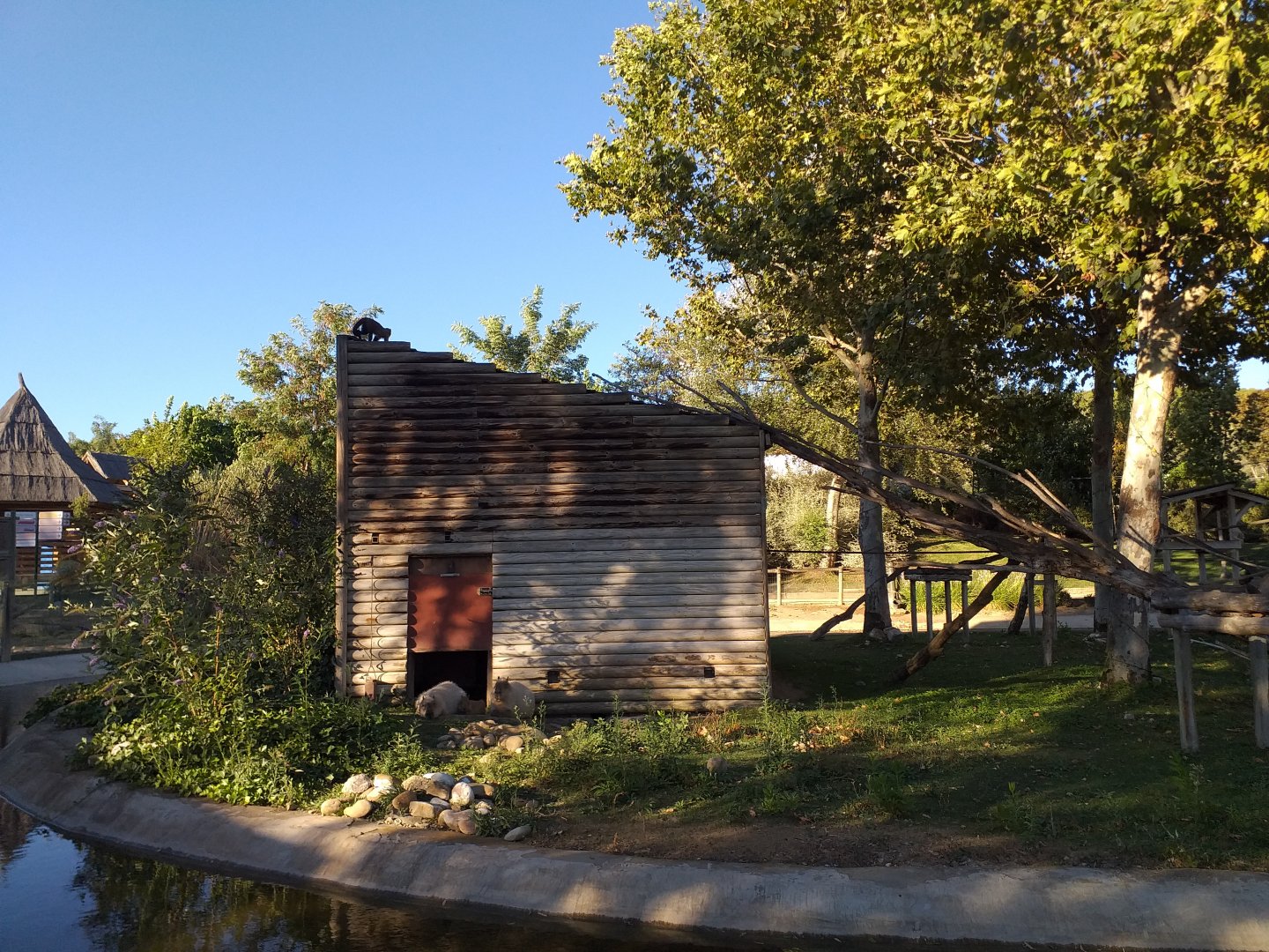 Black-capped capuchin, Capybara and Red-eared slider exhibit -Sendaviva (2020)
