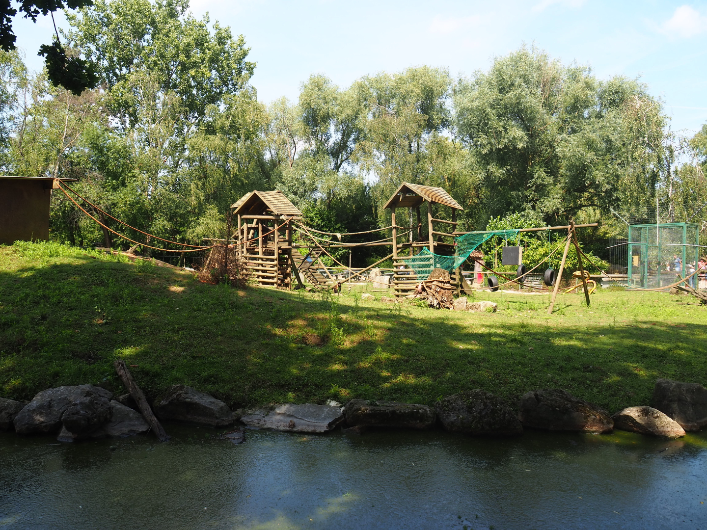 Black-capped capuchin, capybara and Reeves's muntjac island, 2019-08-04