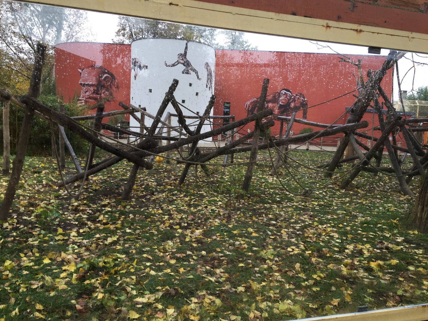 Black-capped capuchin enclosure 10.2020.