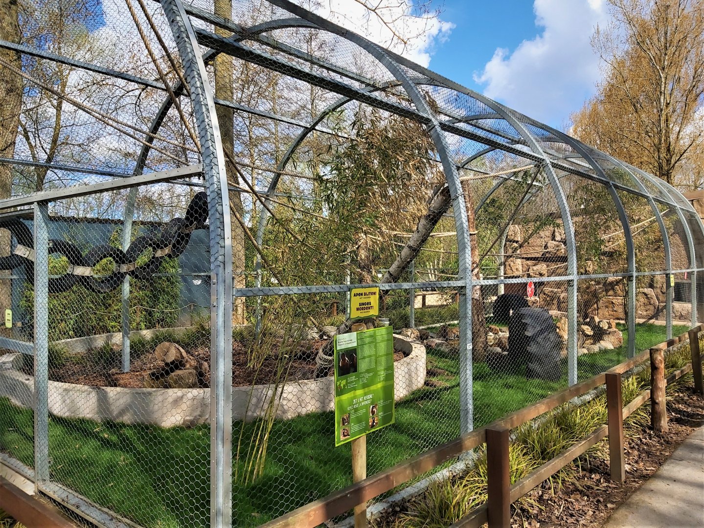 Black-capped capuchin enclosure