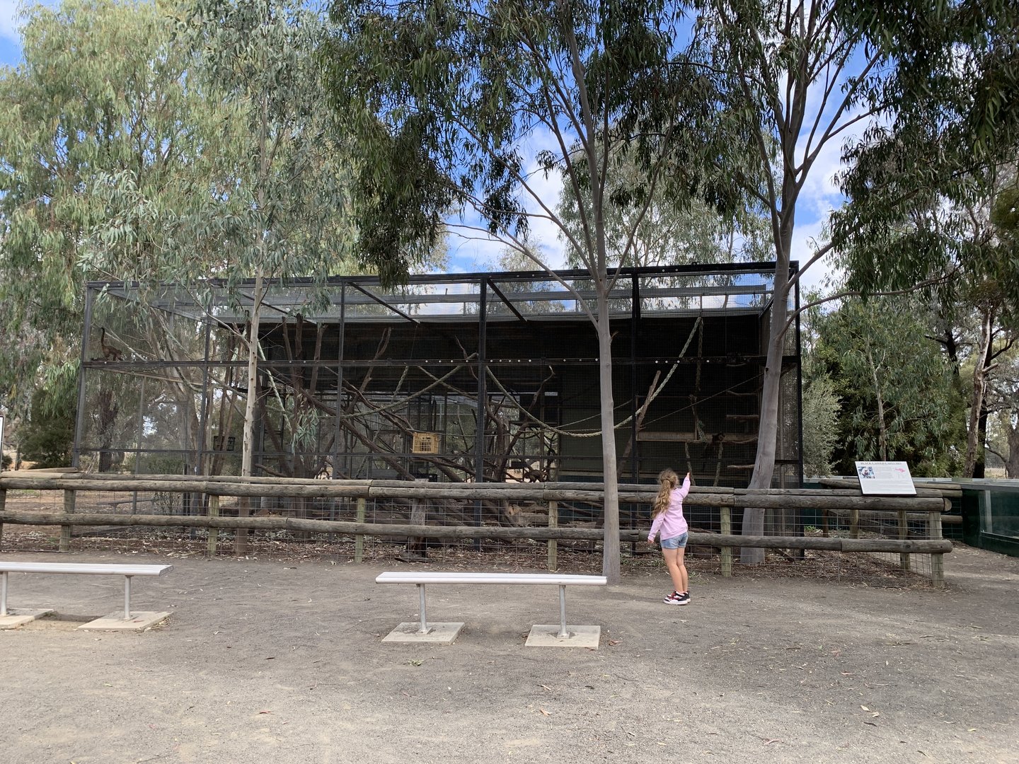 Black-capped Capuchin Enclosure