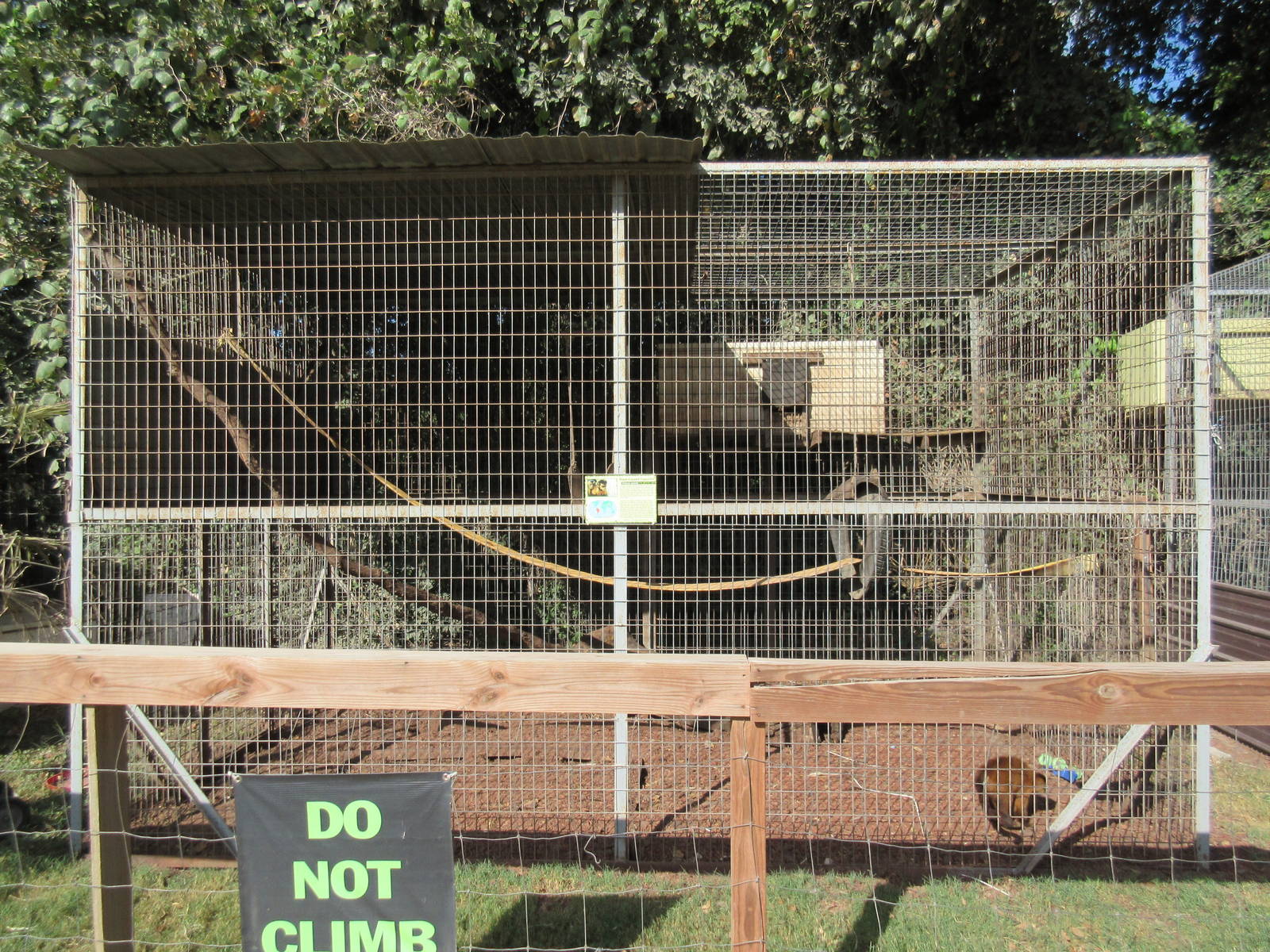 Black-Capped Capuchin Exhibit