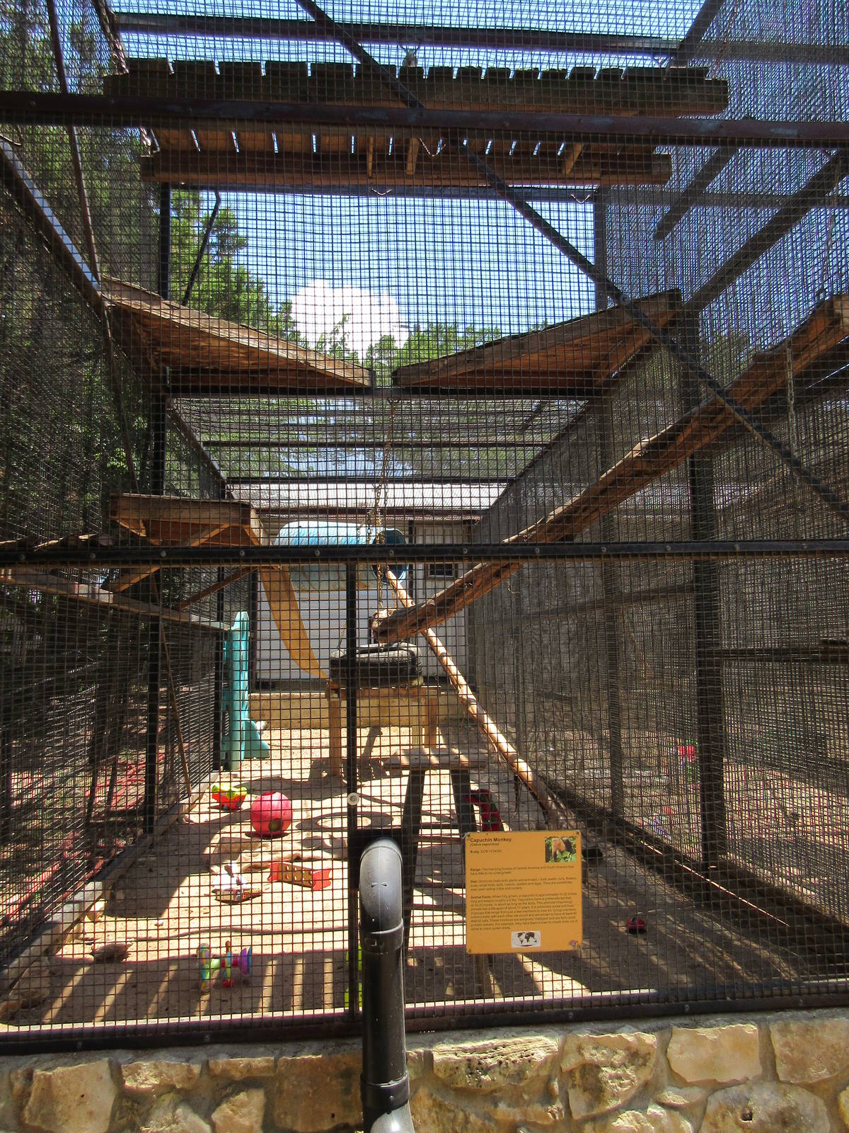 Black-Capped Capuchin Exhibit