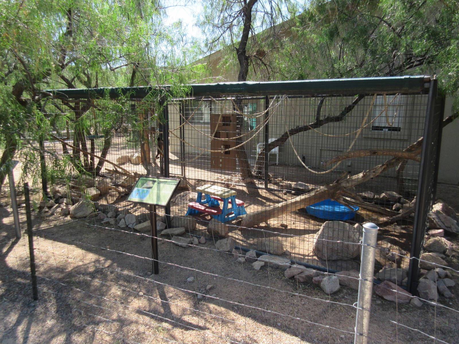 Black-Capped Capuchin Exhibit