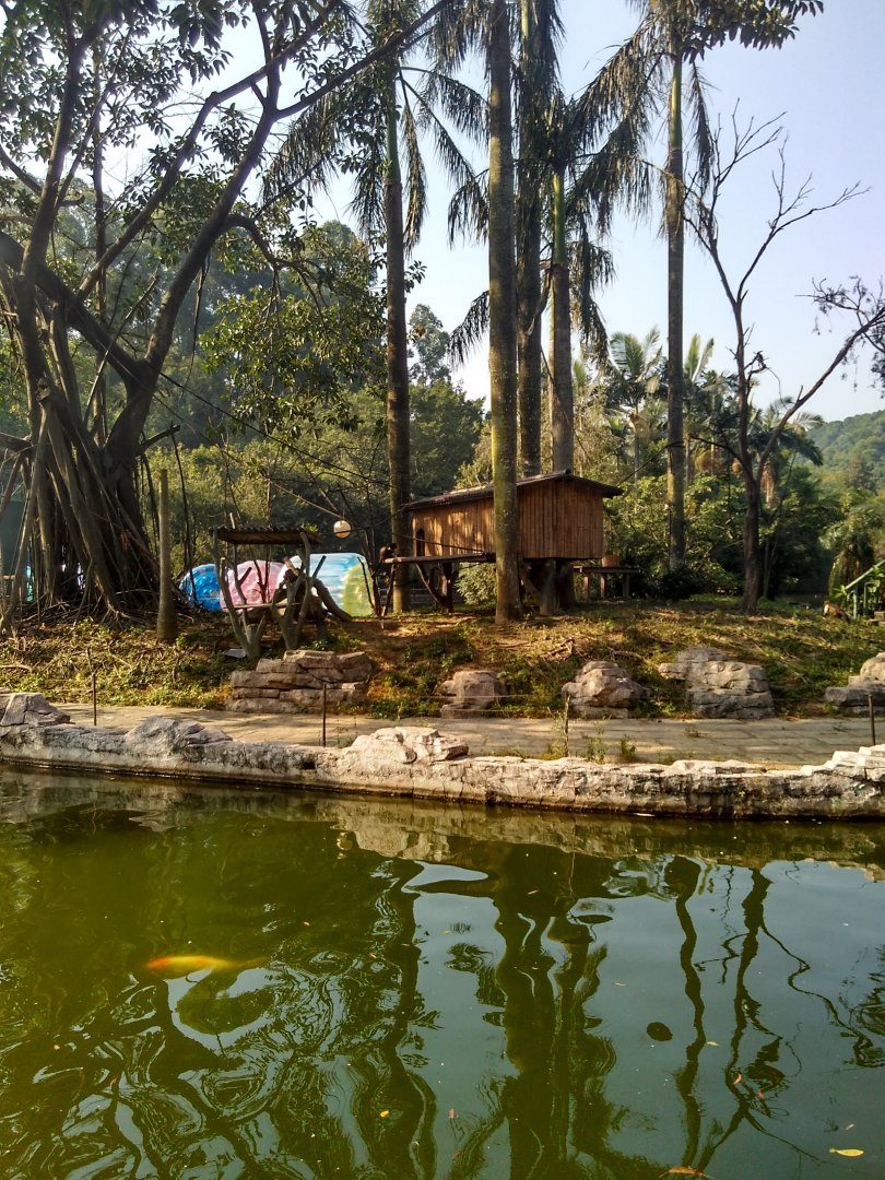 Black capped capuchin exhibit