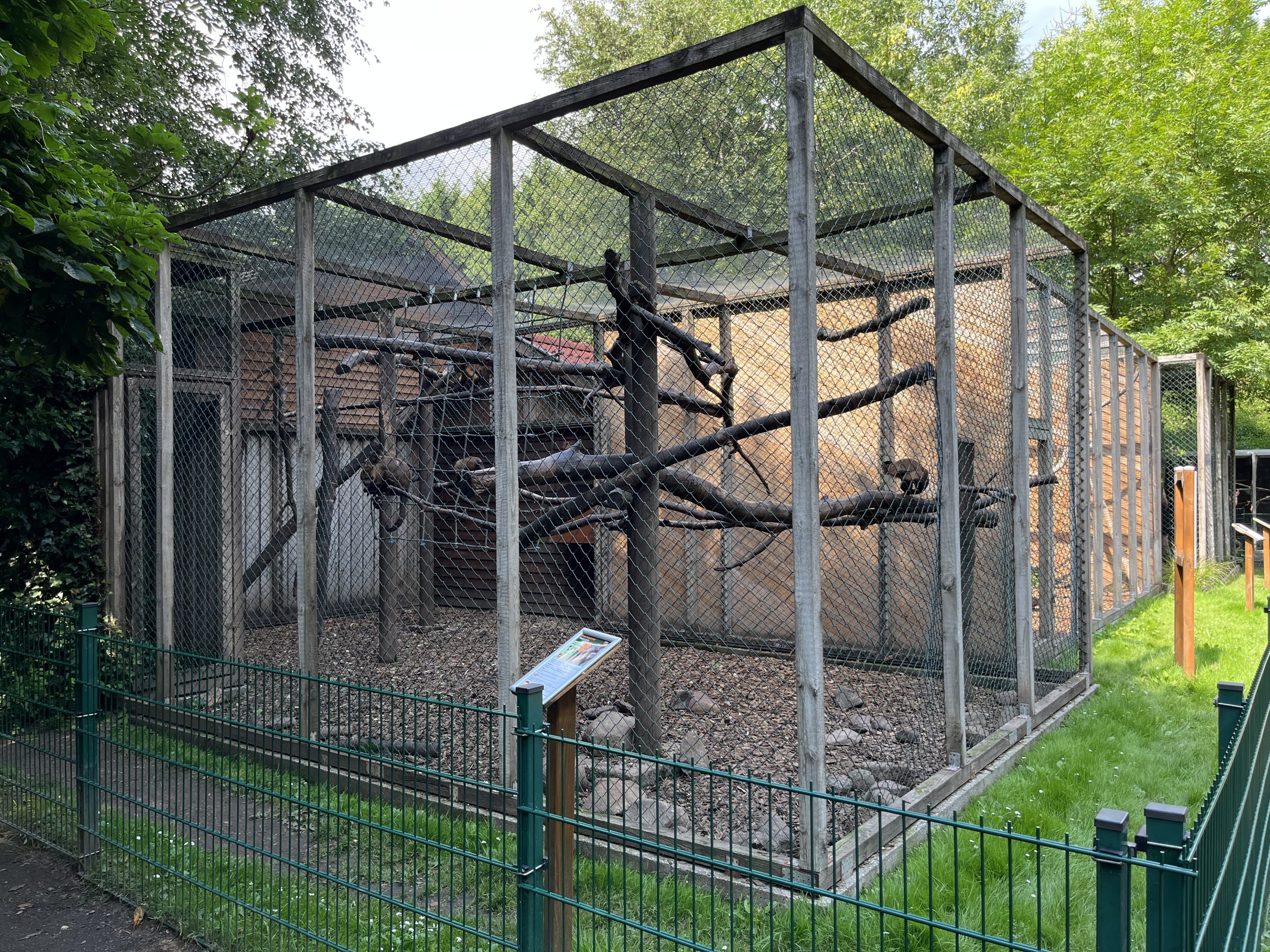 Black-capped Capuchin Exhibit
