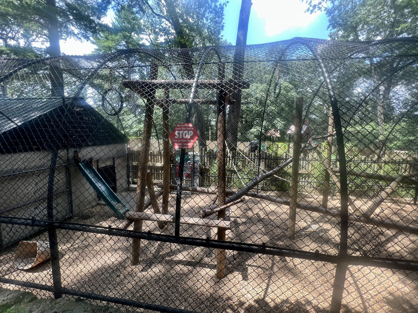 Black-capped Capuchin Exhibit