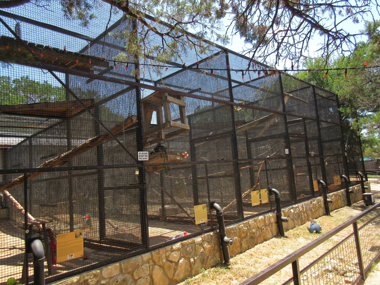 Black-Capped Capuchin Exhibits (5 for capuchins and 1 for a Black-Handed Sp