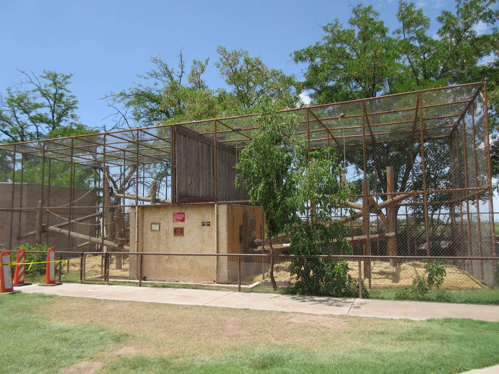 Black-Capped Capuchin Exhibits