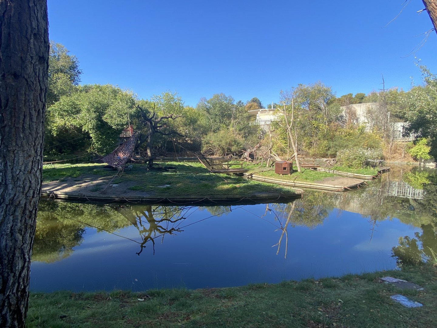 Black-capped capuchin islands