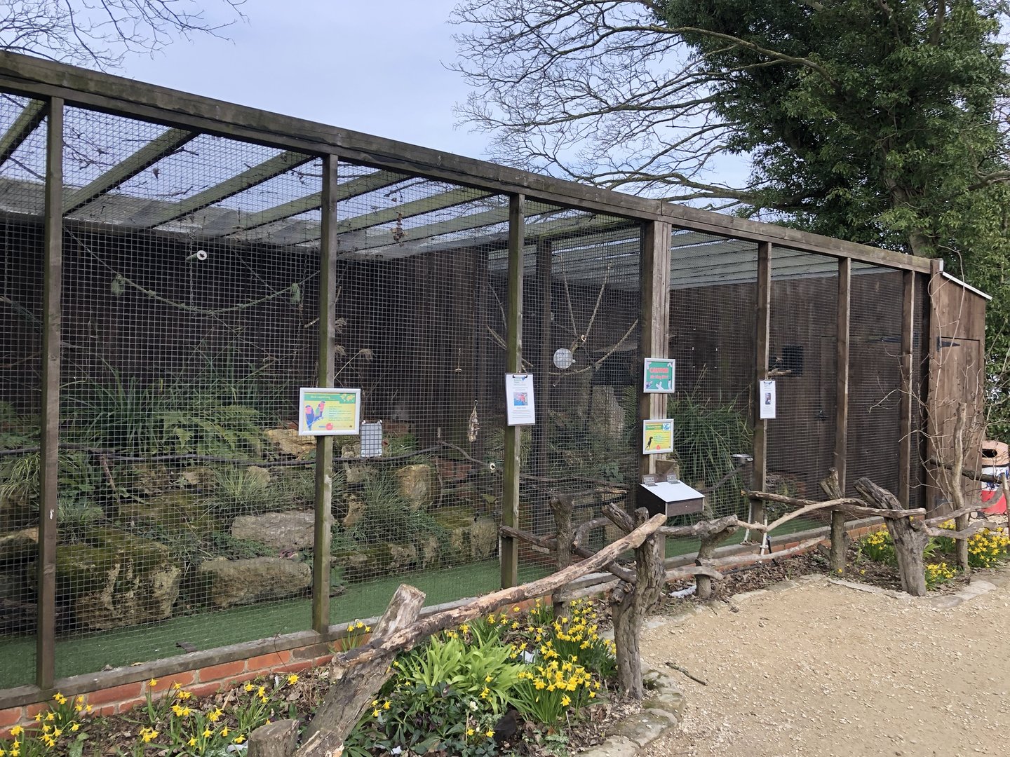 Black-capped Lory and Trumpeter Hornbill Aviaries at Tropical Butterfly House (March 2023)