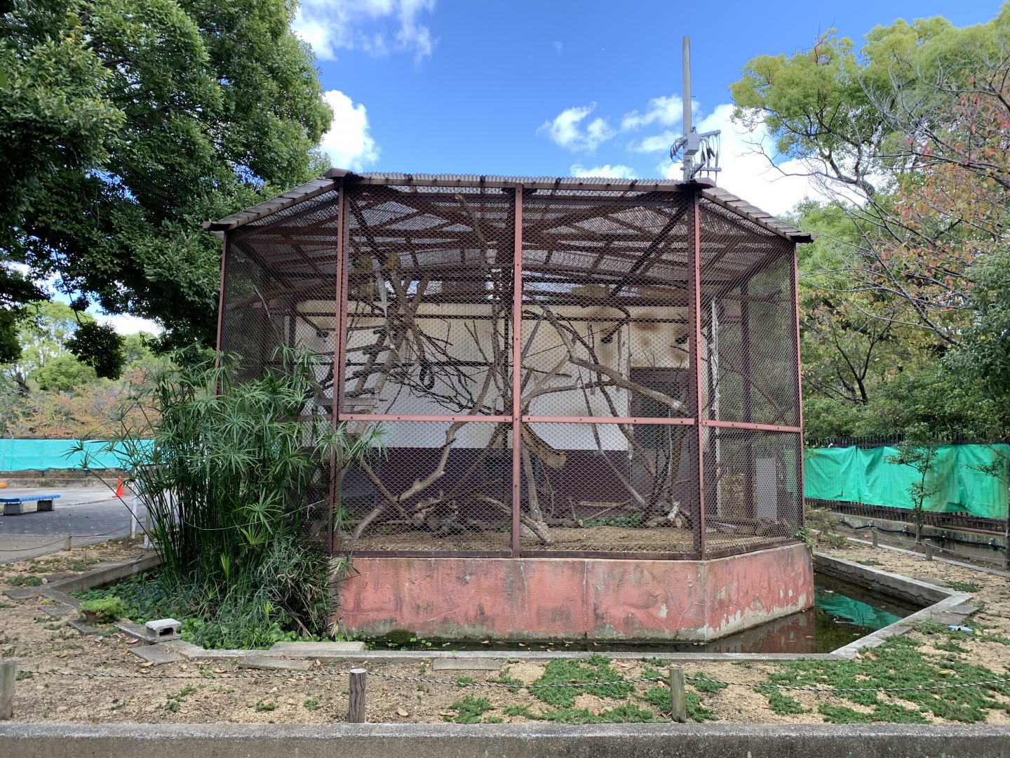 Black-capped Squirrel Monkey Enclosure (Himeji City Zoo)