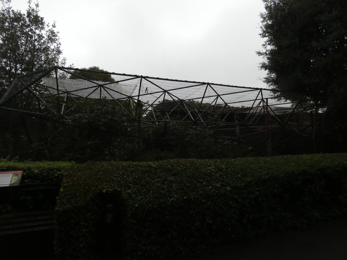 Black-capped squirrel monkey enclosure