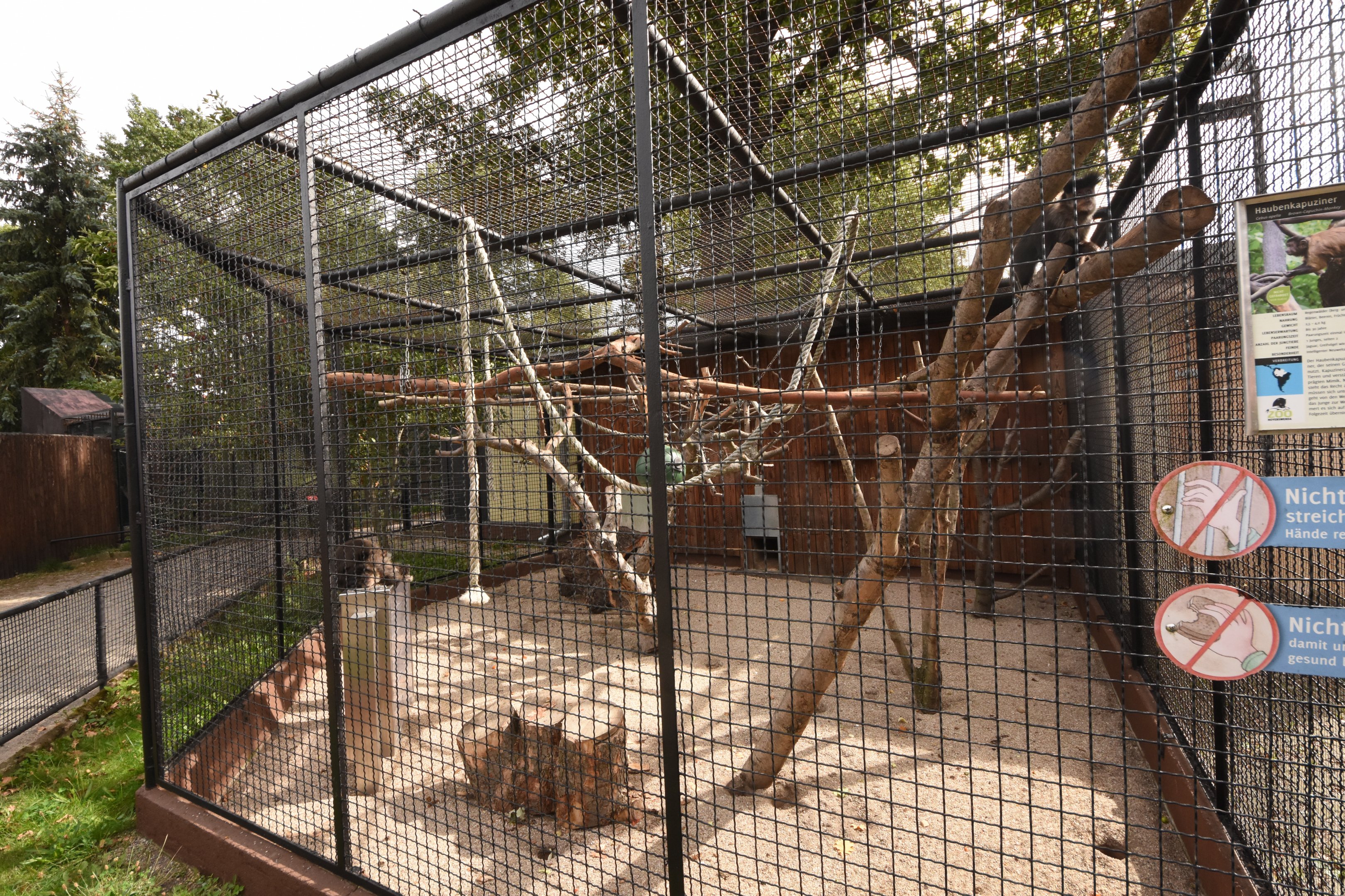 Black capuchin cage