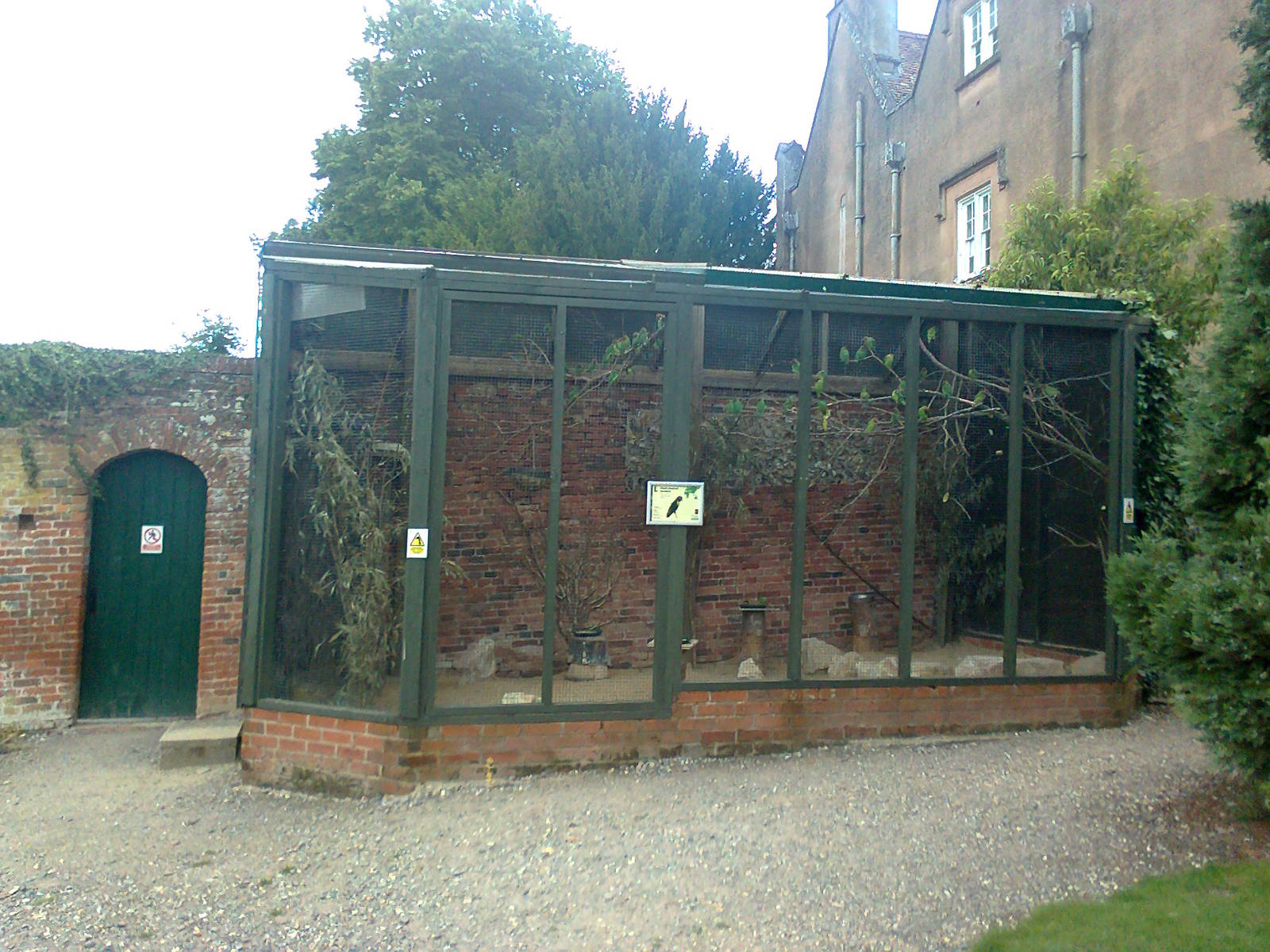 Black-Cheeked Lovebird aviary 2011