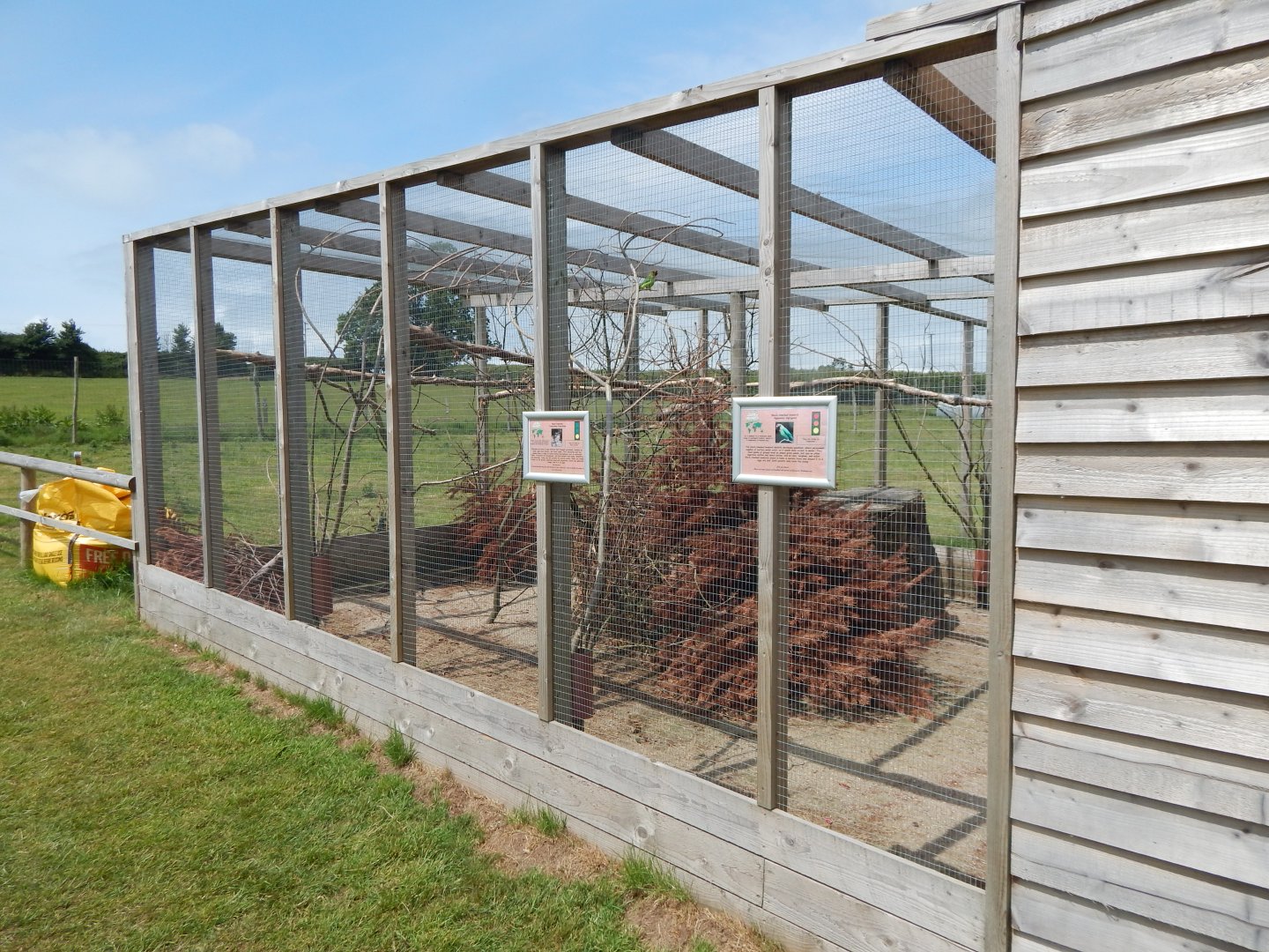 Black-cheeked lovebird/Black francolin aviary 060625
