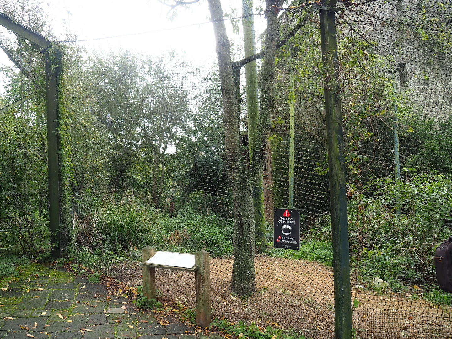 Black-chested buzzard eagle aviary, 2023-10-13