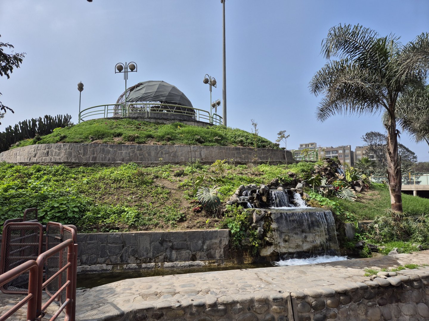 Black-chested buzzard-eagle exhibit