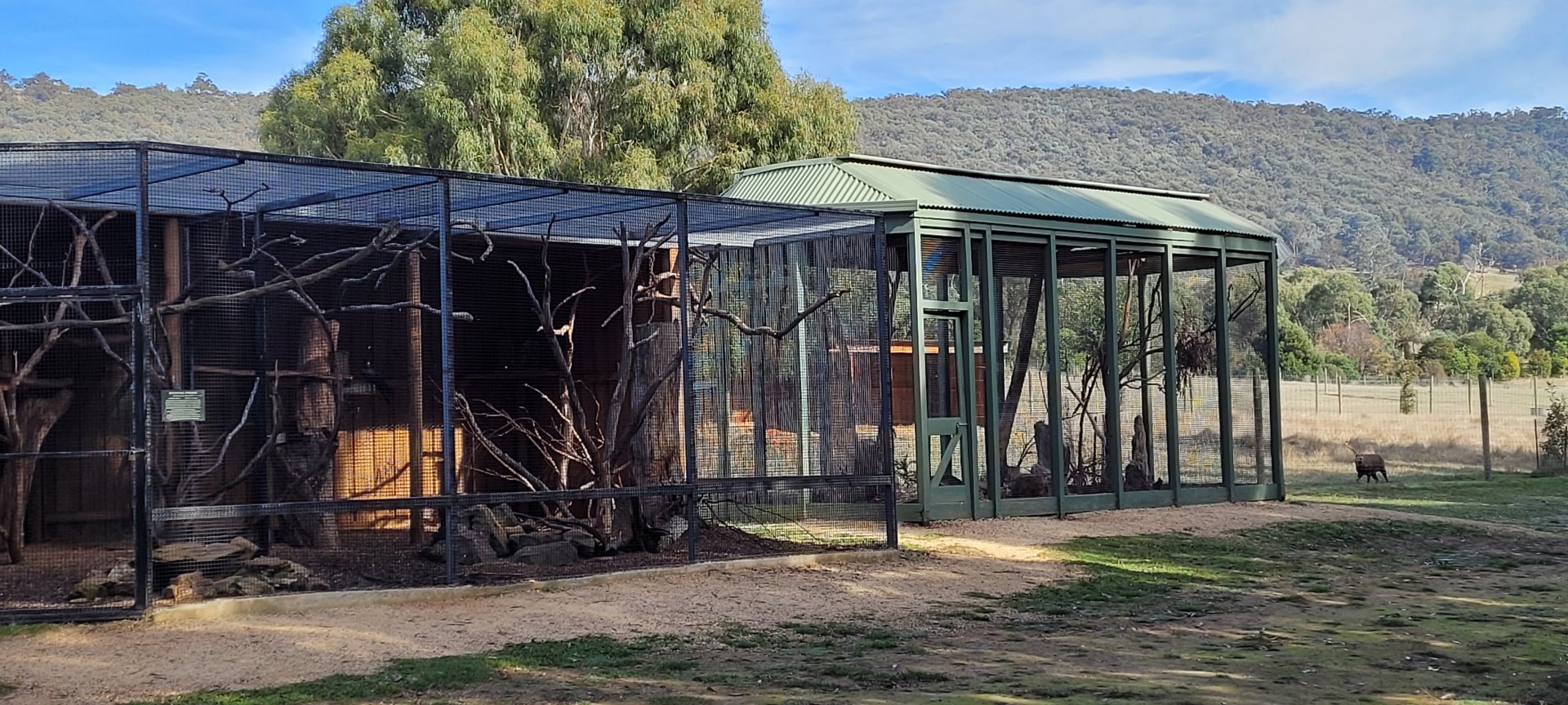 Black Cockatoo and Masked Owl Aviaries