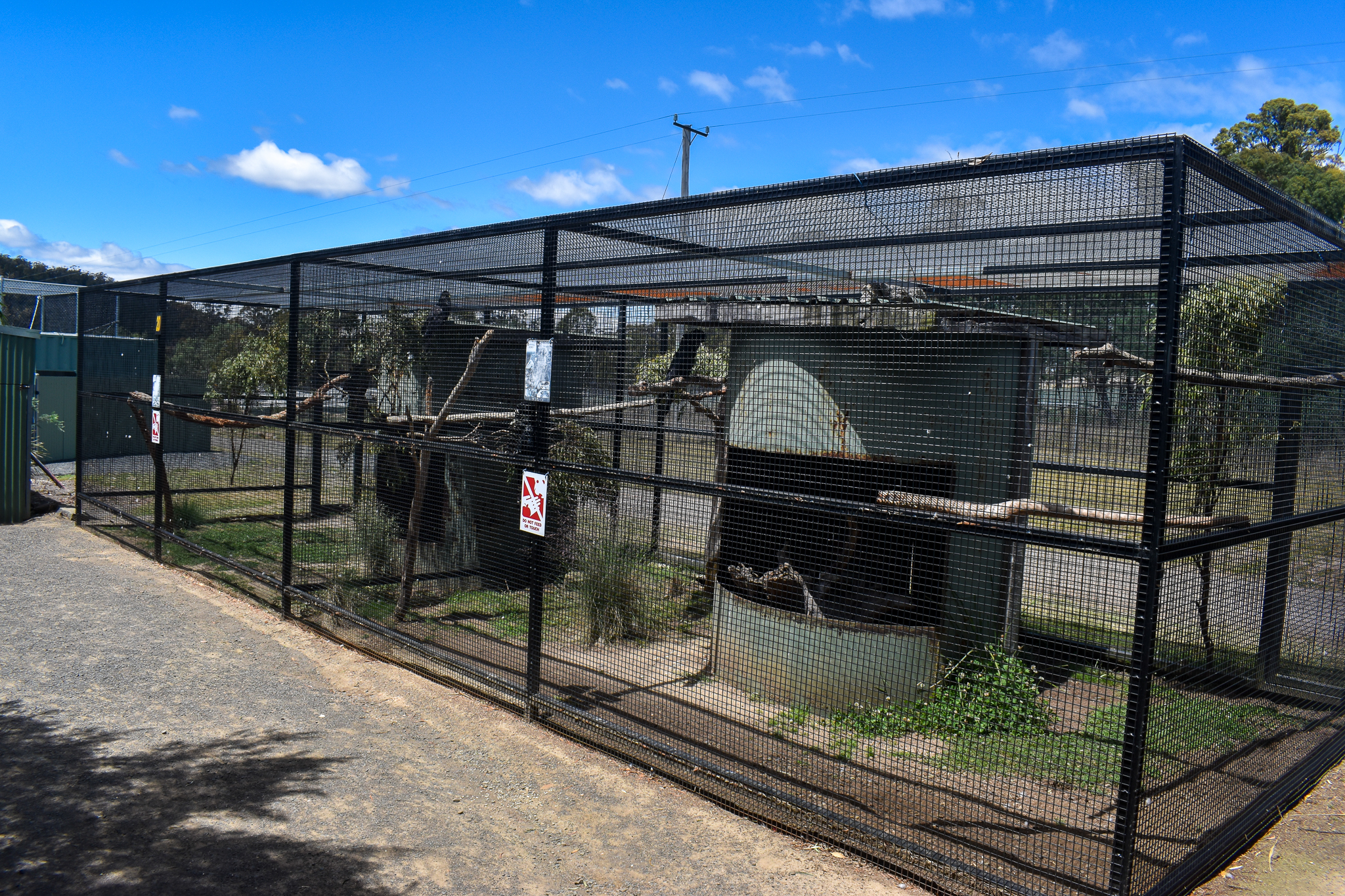 Black Cockatoo aviaries