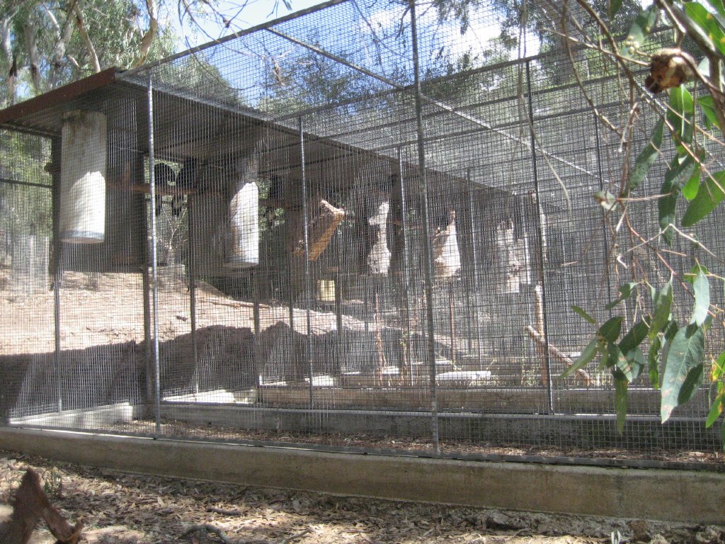 Black Cockatoo Breeding Aviaries