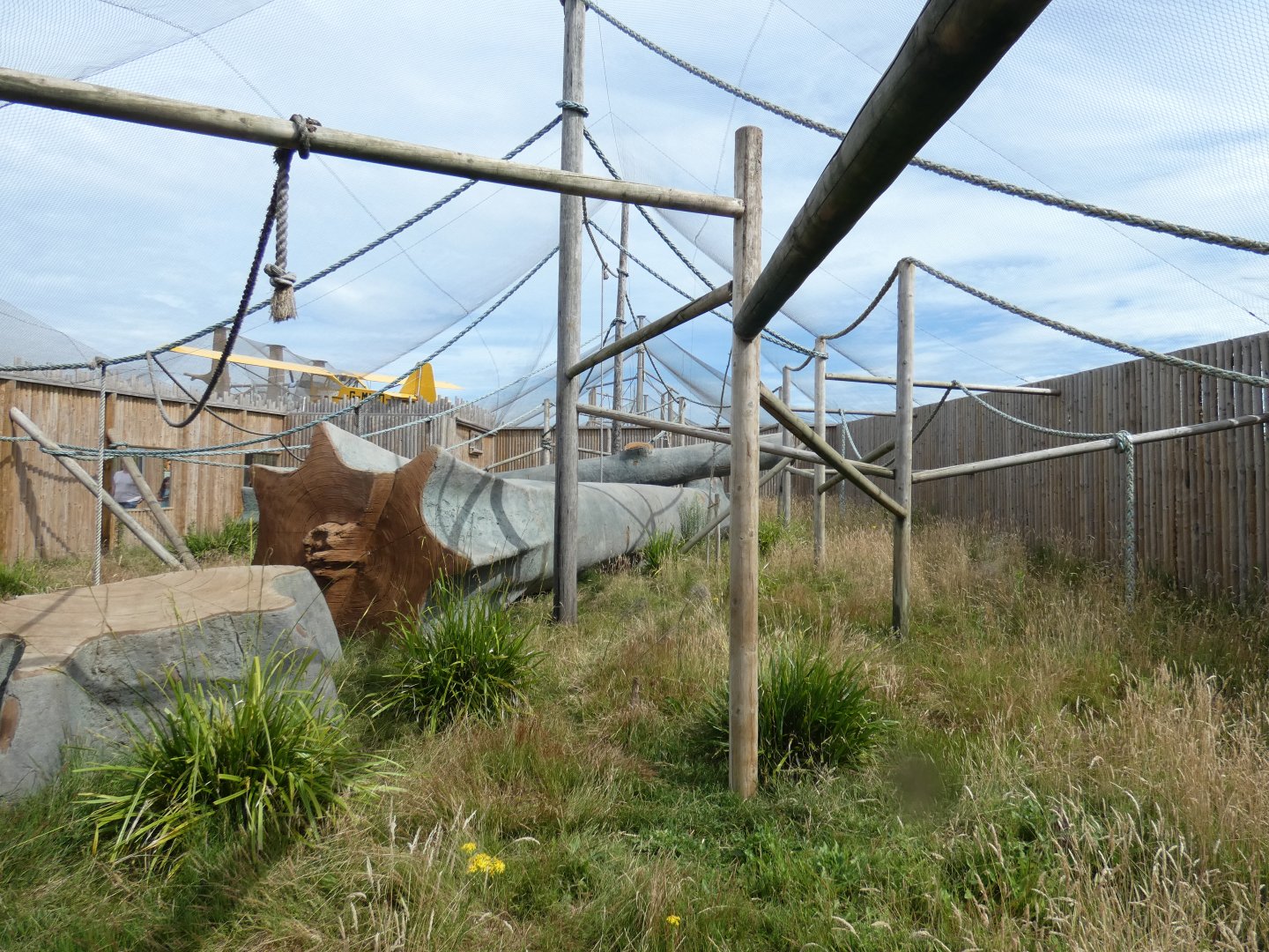 Black-crested Mangabey enclosure