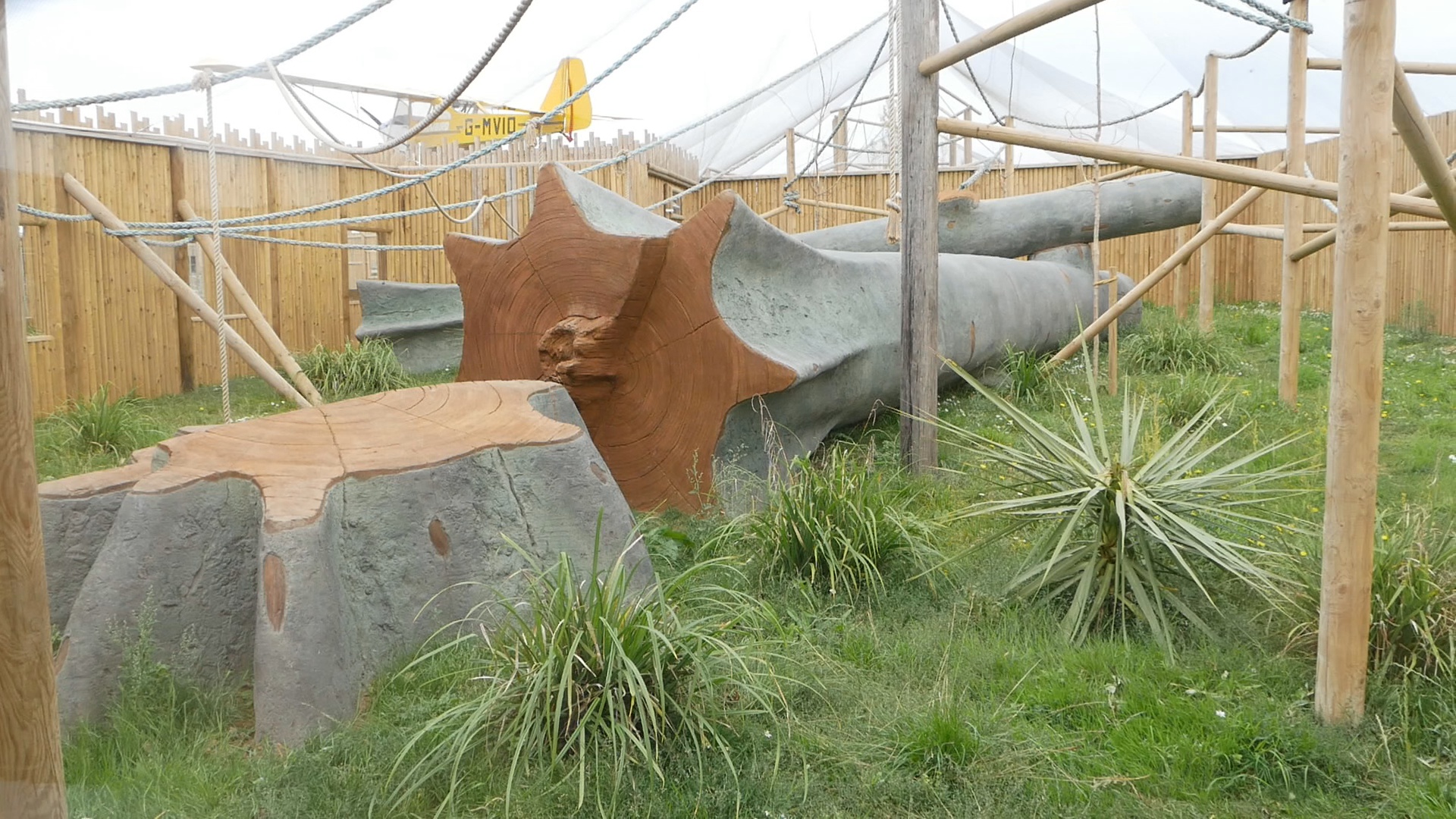 Black Crested Mangabey Enlcosure