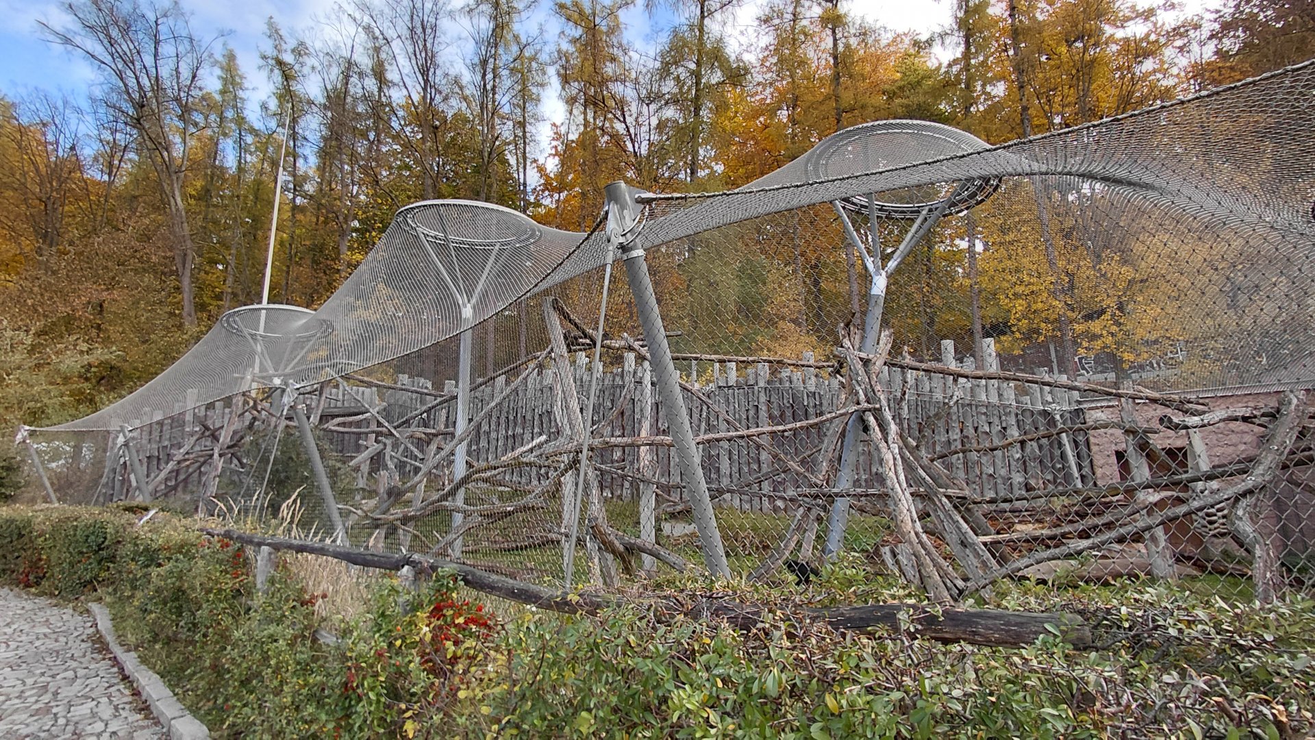 Black crested mangabey outdoor exhibit