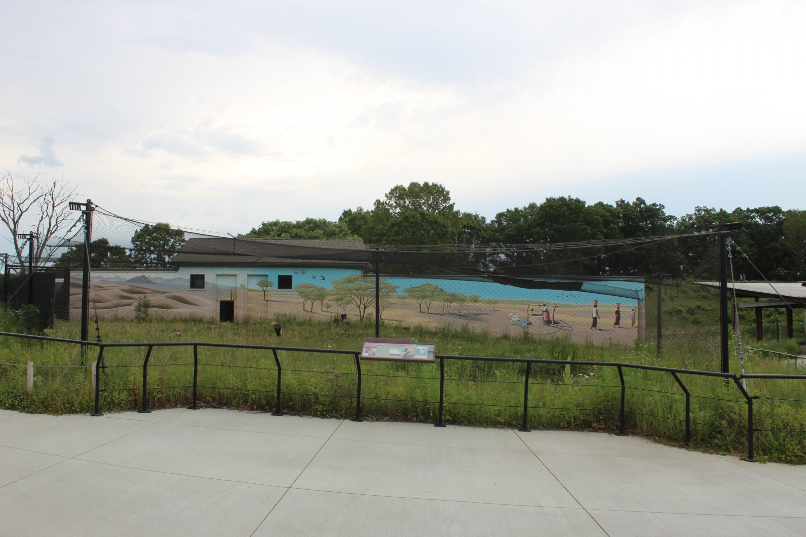 Black-Crowned Crane Exhibit