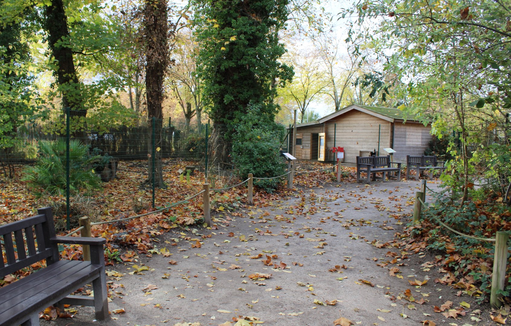 Black crowned crane - Kirk's dikdik enclosure