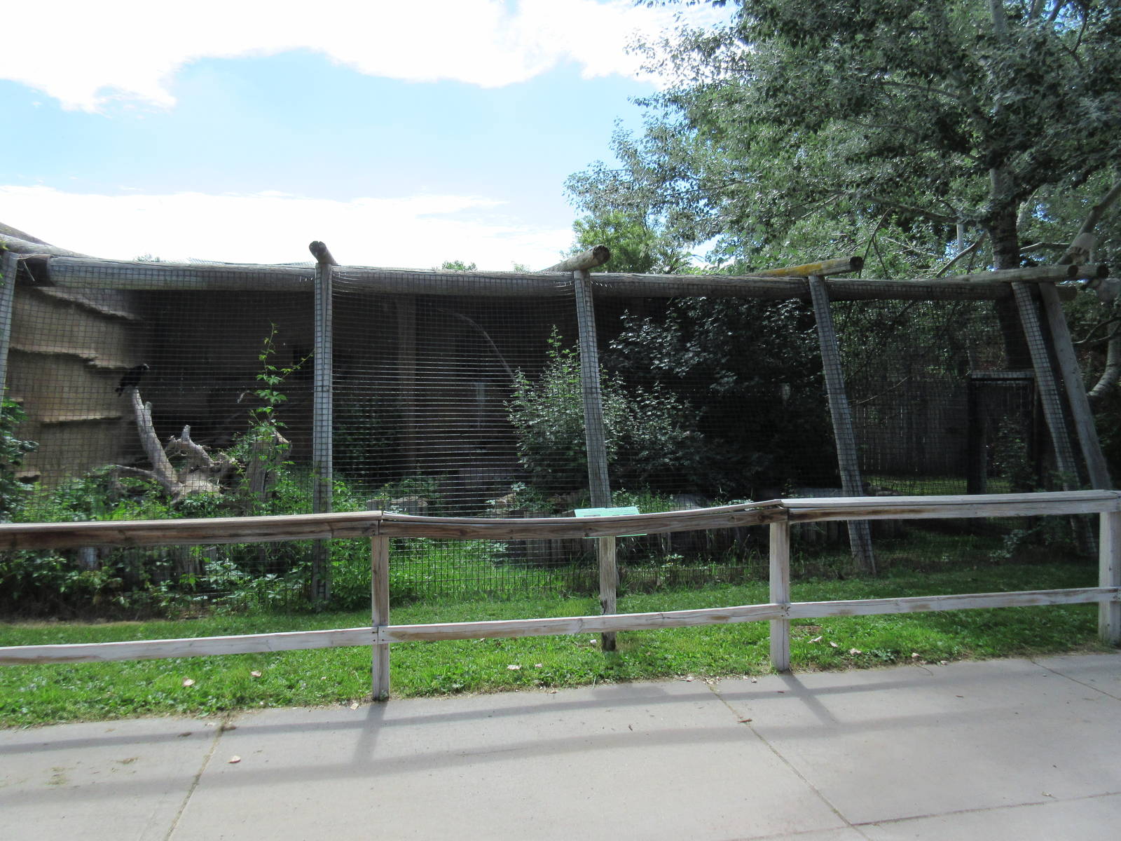 Black Crowned Night Heron/American Crow Exhibit