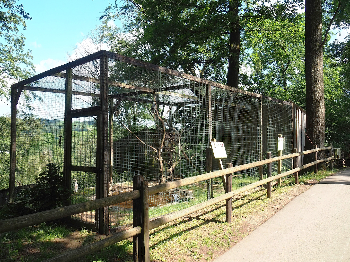 Black-crowned night heron and Western cattle egret aviary, 2023-06-24