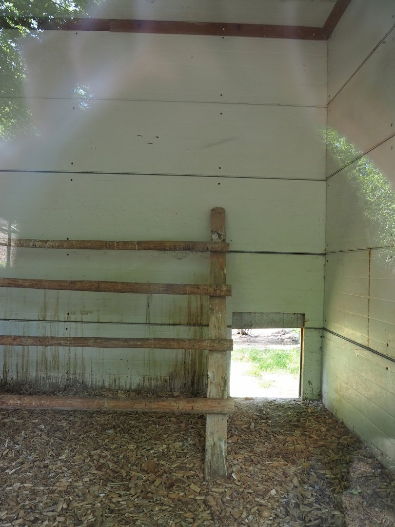 Black-crowned night heron and Western cattle egret indoor housing, 2023-06-24