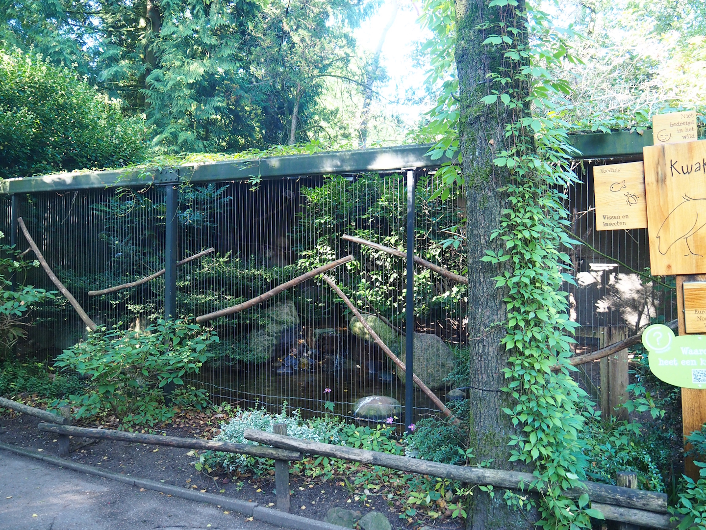 Black-crowned night heron aviary, 2023-09-24
