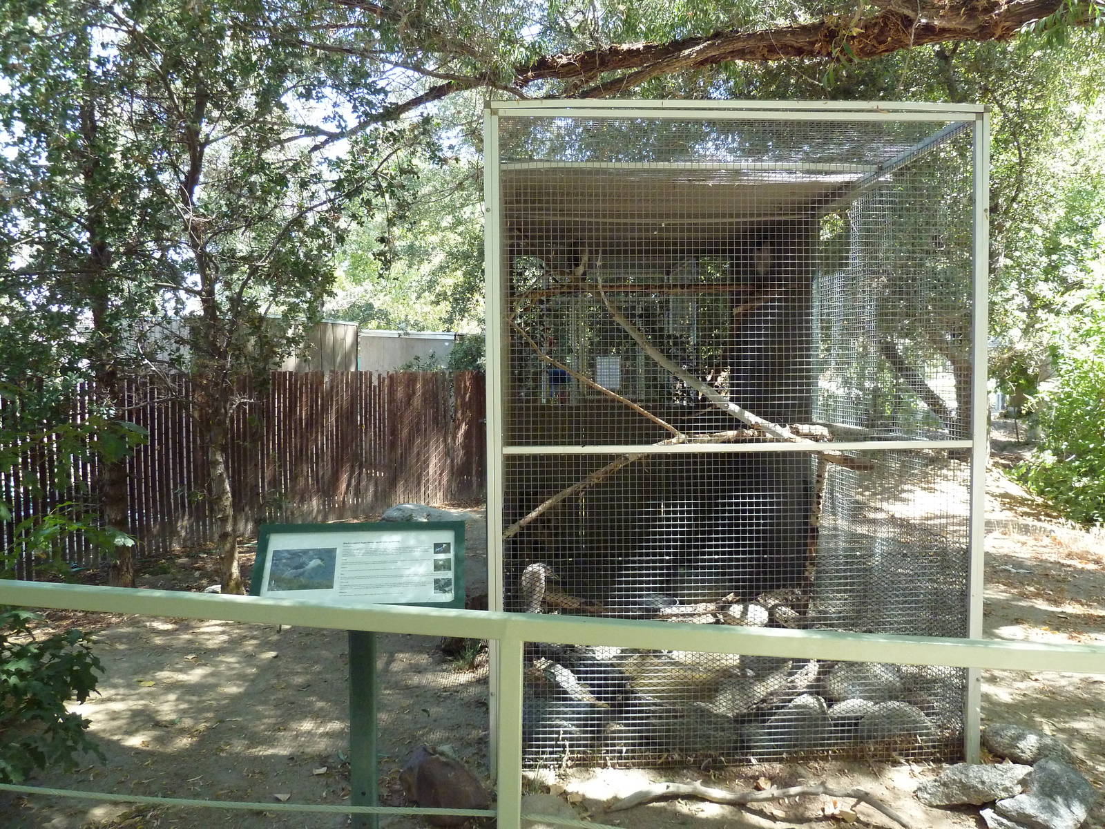 Black-Crowned Night Heron Exhibit