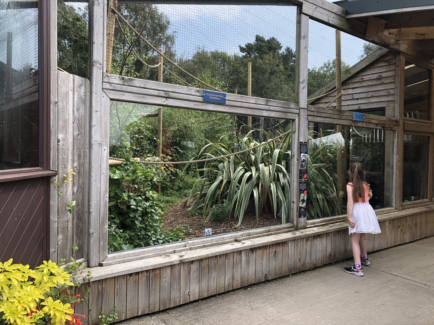 Black Curassow Enclosure at Lakeland Wildlife Oasis (2020)
