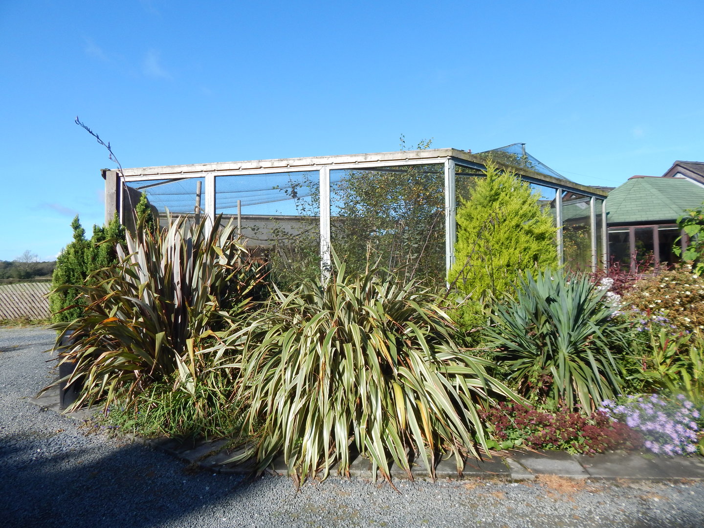 Black curassow exhibit 230922