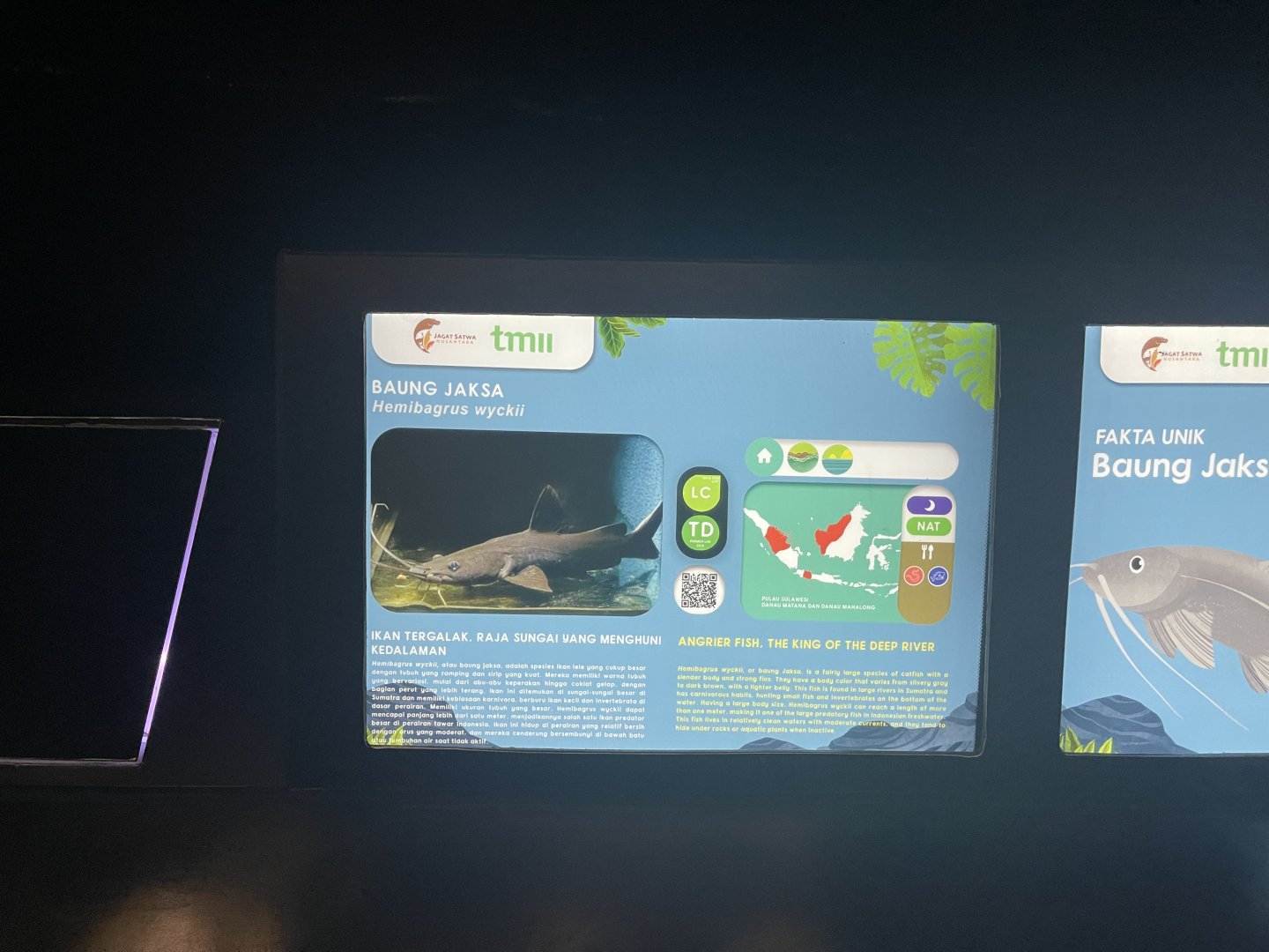 black devil catfish signage - dunia air tawar