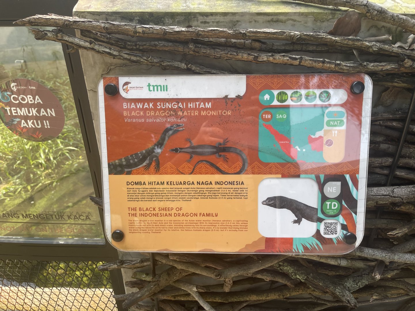 black dragon water monitor signage - museum komodo