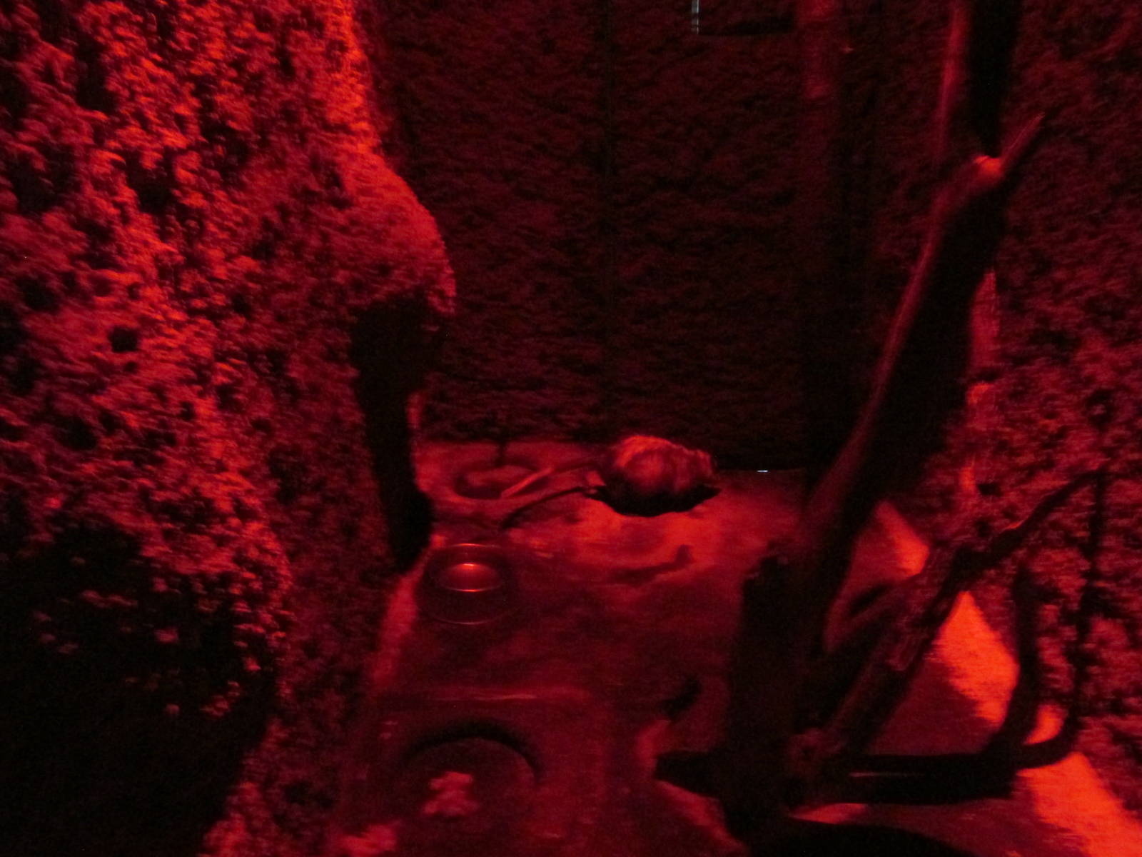 black eared opossum zoologico del altiplano