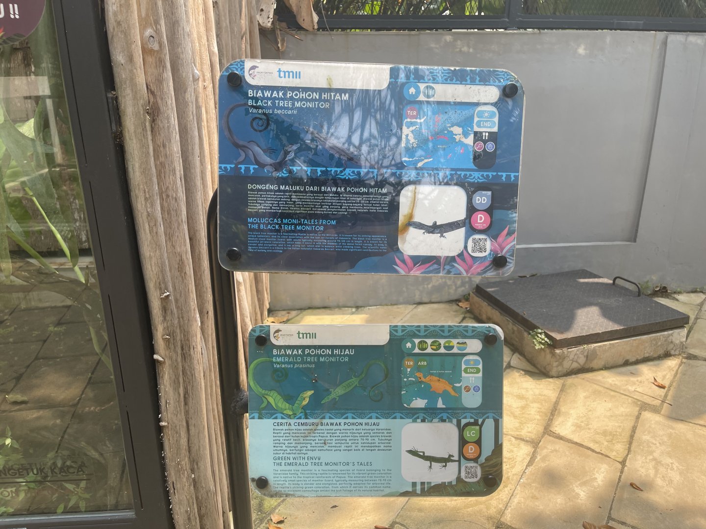 black & emerald tree monitor signage - museum komodo