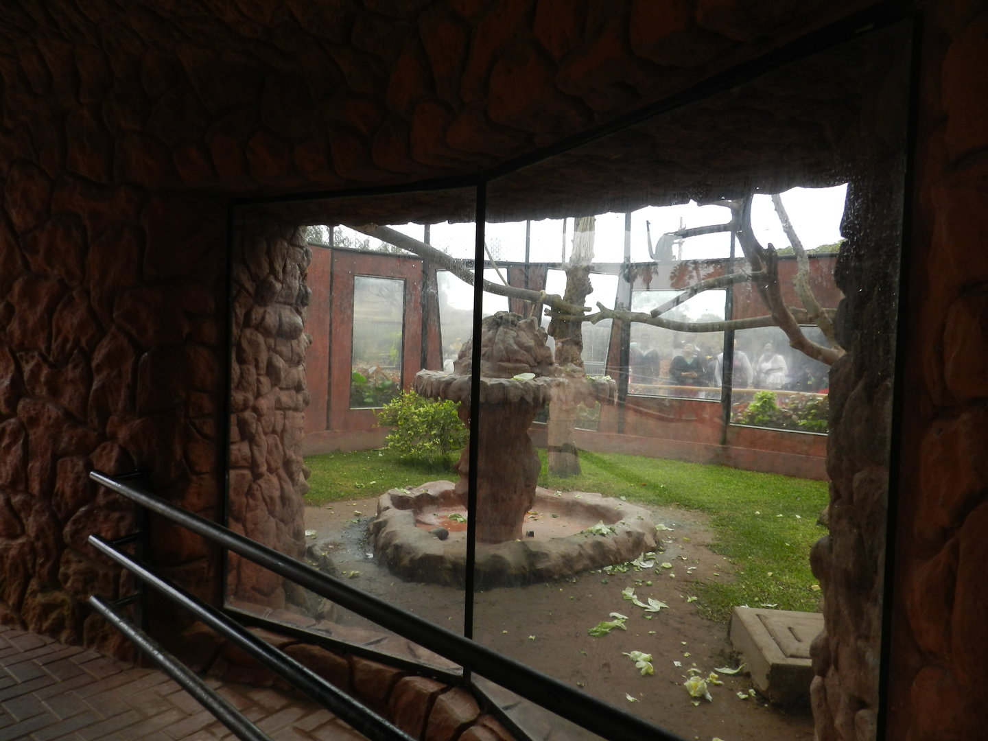 Black-faced black spider monkey exhibit - Parque de Las Leyendas