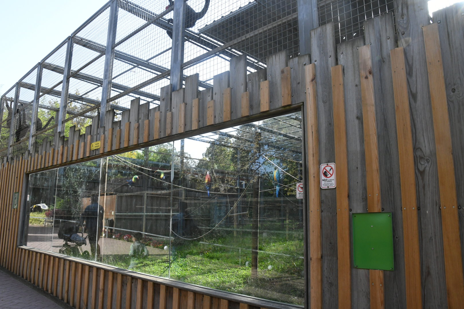Black-faced Black Spider Monkeys exhibit