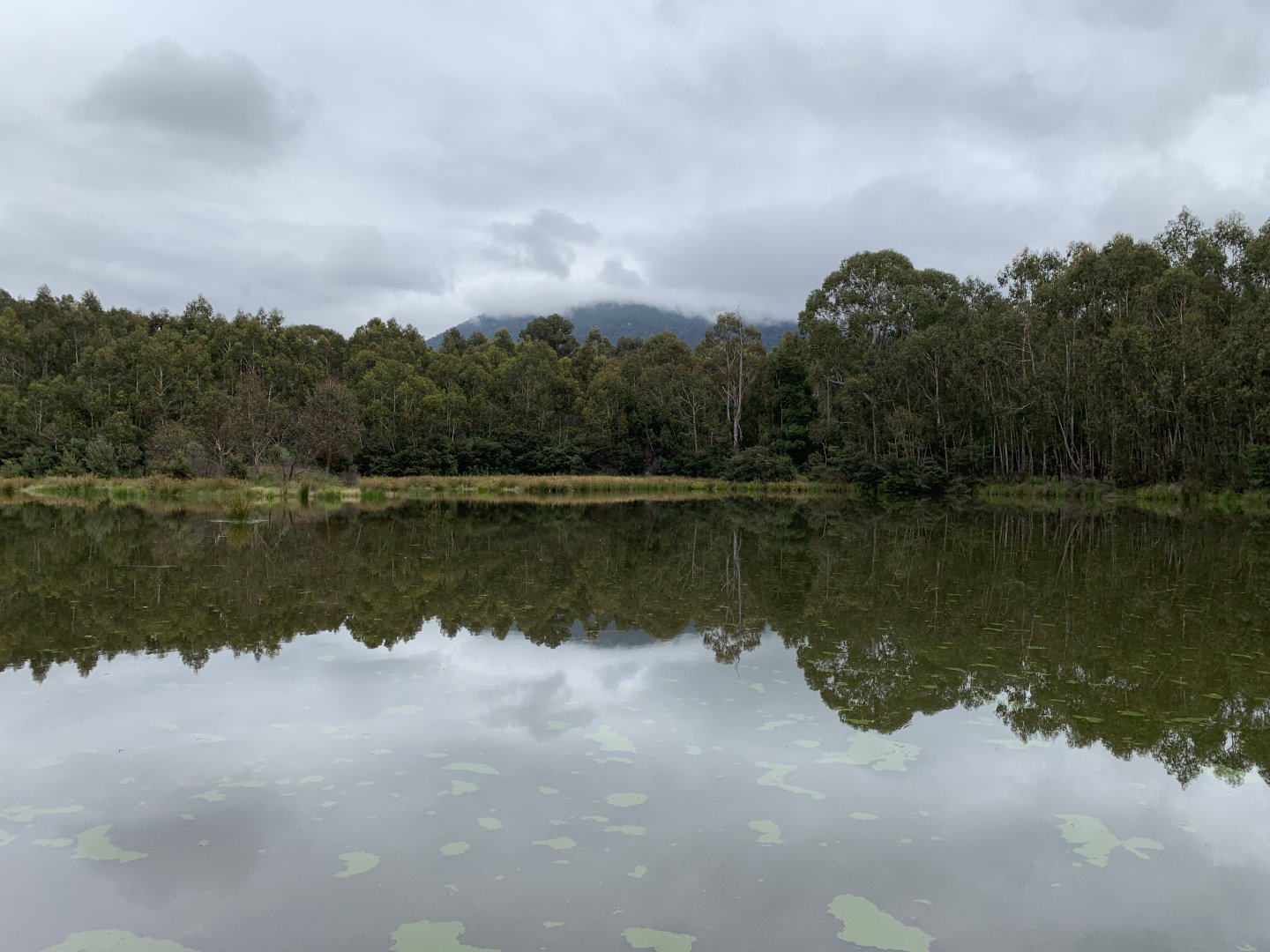 Black Flat Dam - Tidbinbilla